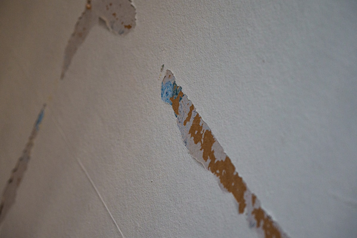Basement Water Removal service in Temecula, CA